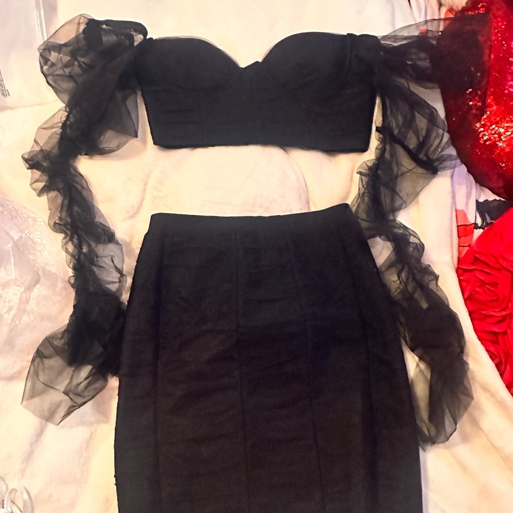 Two piece crop top, sheer sleeves, and pencil skirt